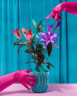 Cultivation of Colour. Colourful conceptual photography by Marianne Taylor.