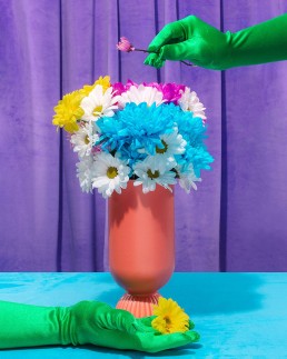 Cultivation of Colour. Colourful conceptual photography by Marianne Taylor.