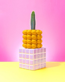 Prickly. Colourful conceptual photography by Marianne Taylor.