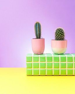Prickly. Colourful conceptual photography by Marianne Taylor.