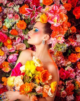Bird of Paradise. Colourful floral photography. Art direction and photography by HIYA MARIANNE photo production studio.