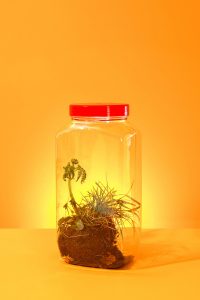 Nature Contained. Colourful still life product photography with art direction and styling by HIYA MARIANNE photo production studio & prop styling by Propped Up.