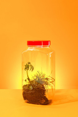 Nature Contained. Colourful still life product photography with art direction and styling by HIYA MARIANNE photo production studio & prop styling by Propped Up.